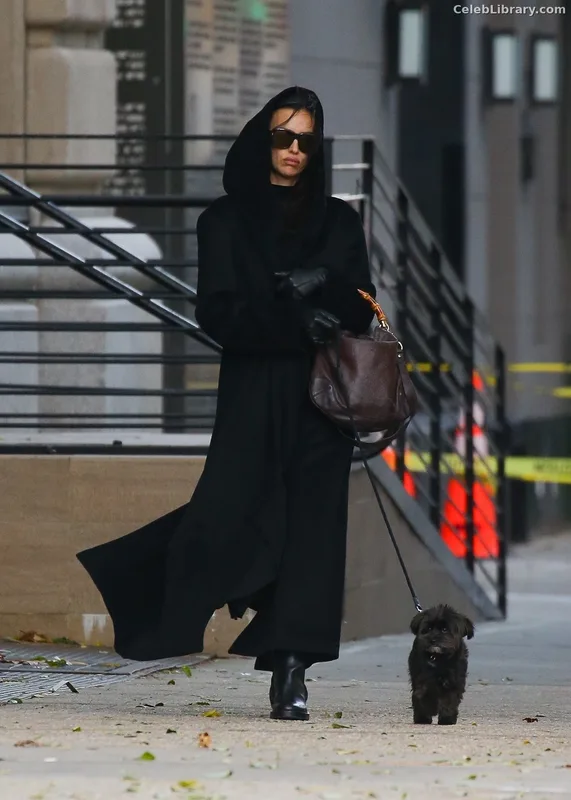 Irina Shayk photo 22 of 1219