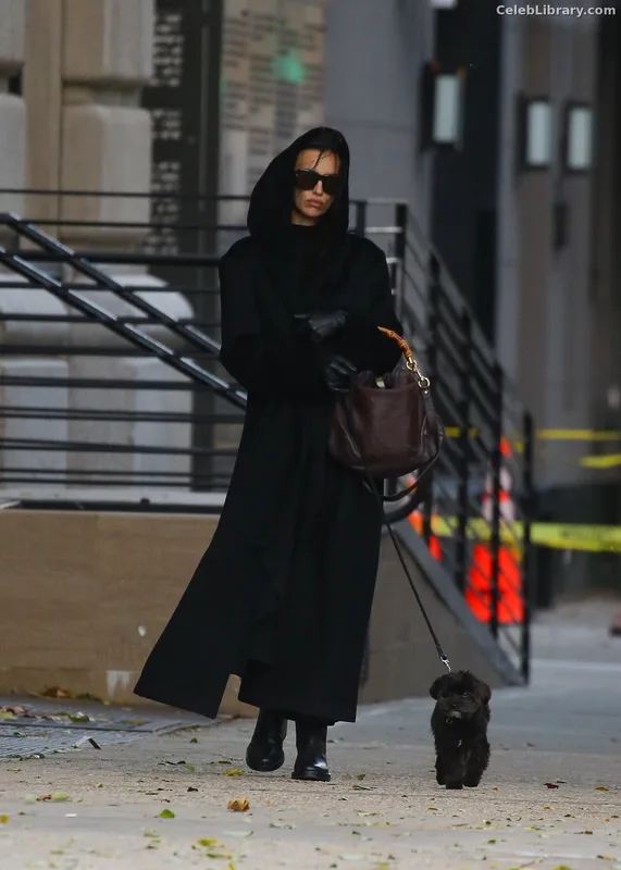 Irina Shayk photo 1 of 1219