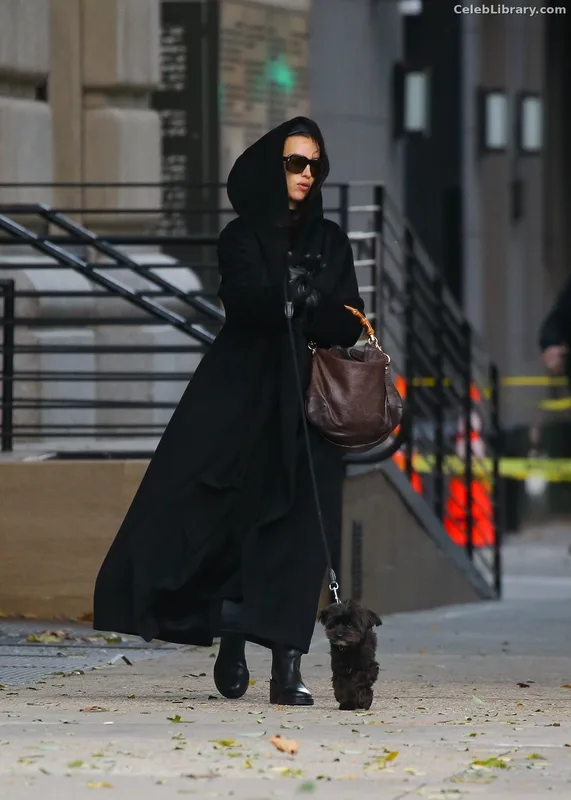 Irina Shayk photo 5 of 1219