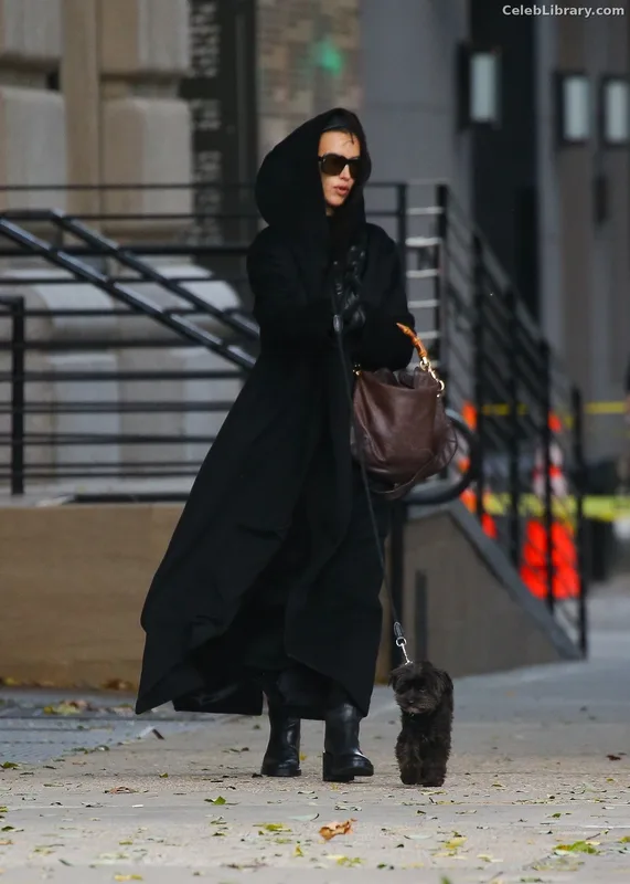Irina Shayk photo 6 of 1219