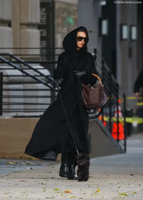 Irina Shayk photo 8 of 1219