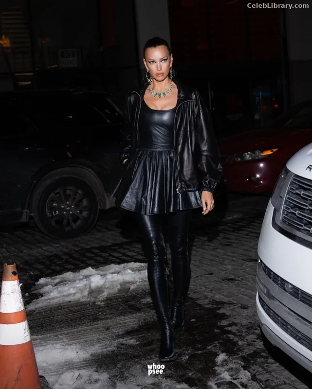 Irina Shayk photo 1 of 1219