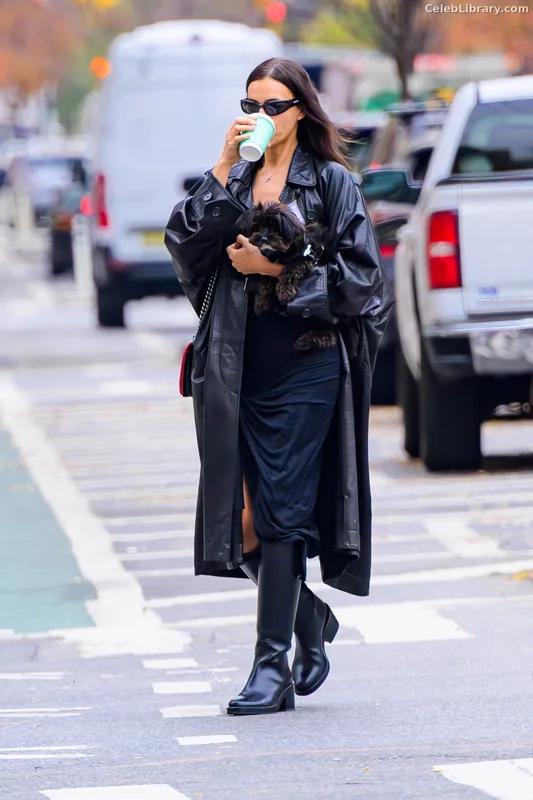 Irina Shayk photo 16 of 1219