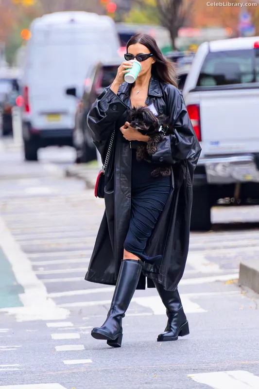 Irina Shayk photo 18 of 1219