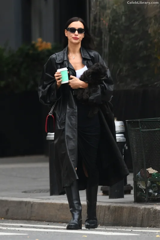 Irina Shayk photo 23 of 1219