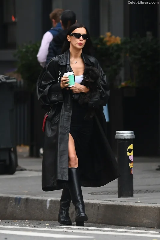 Irina Shayk photo 10 of 1219