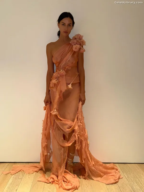 Irina Shayk photo 21 of 1219