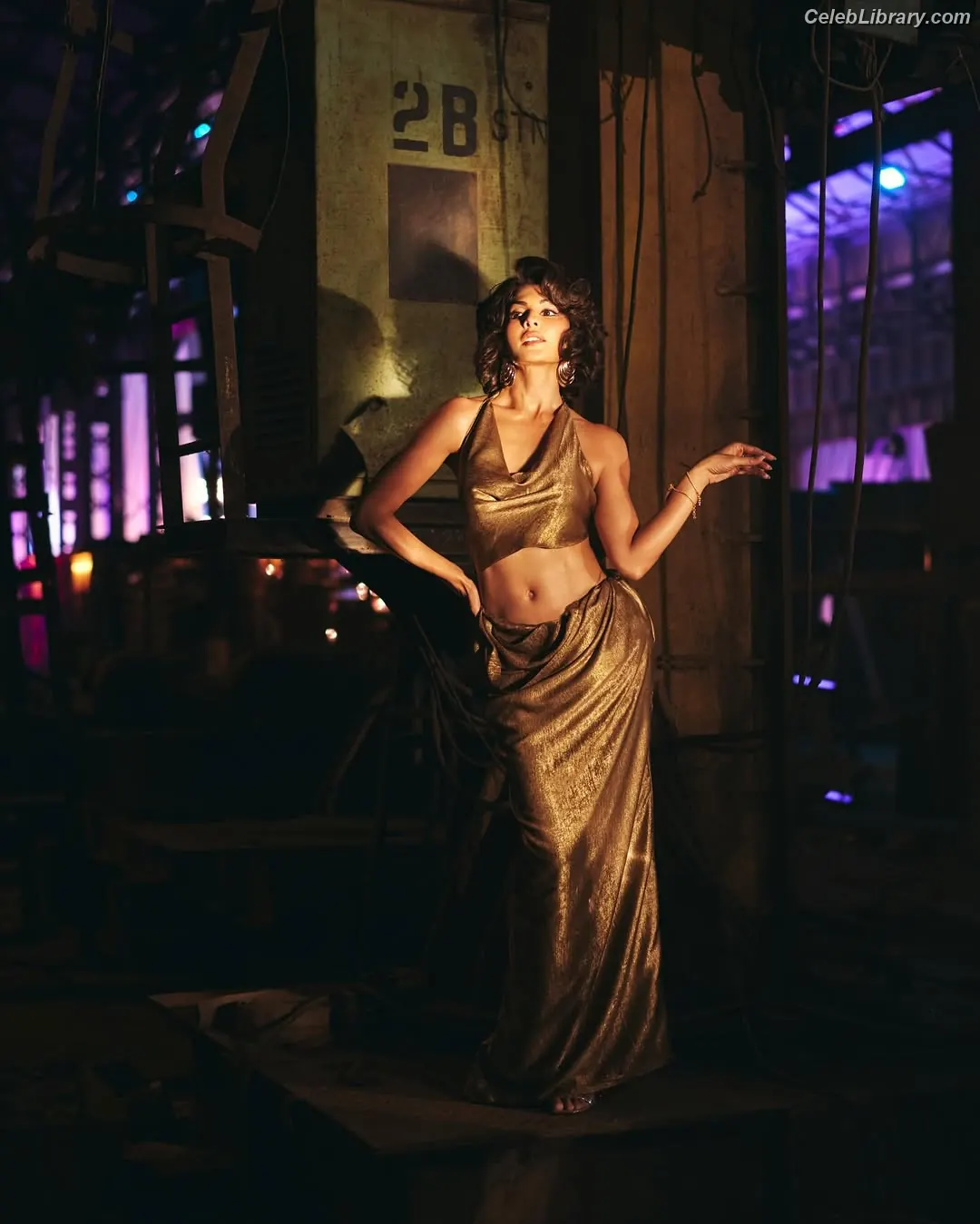Jacqueline Fernandez photo 2 of 101