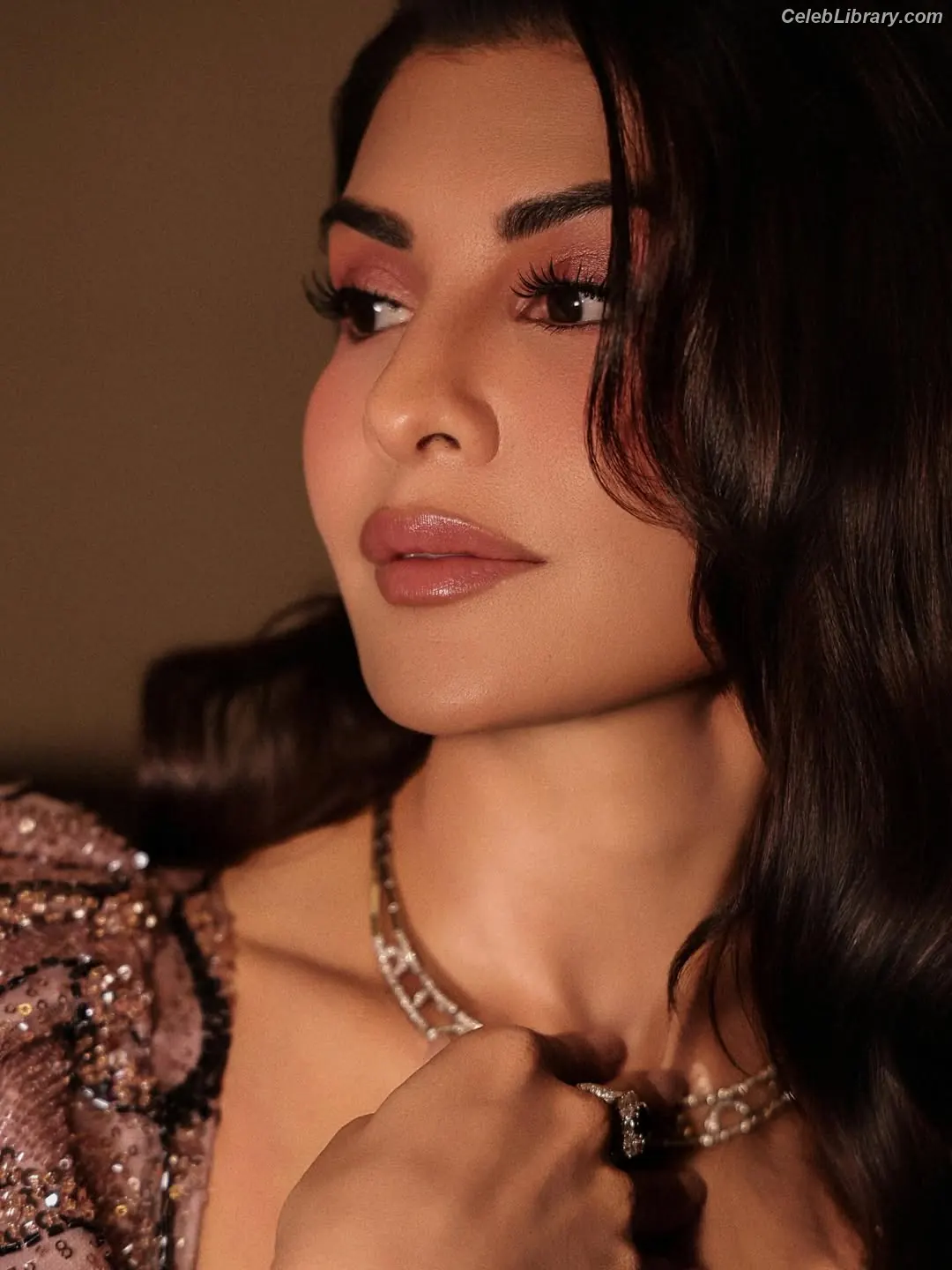 Jacqueline Fernandez photo 11 of 101