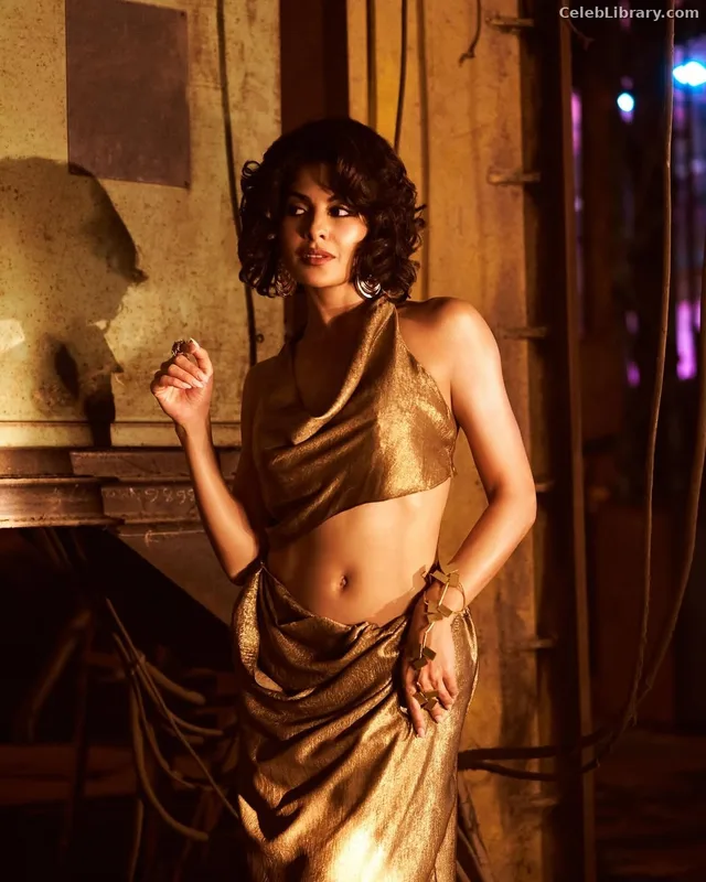 Jacqueline Fernandez photo 24 of 102