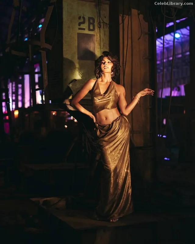 Jacqueline Fernandez photo 2 of 102