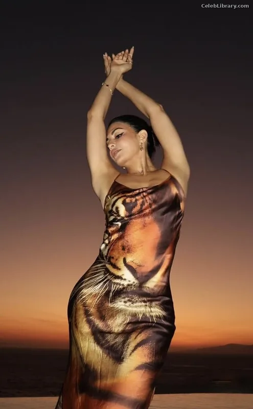 Jacqueline Fernandez photo 13 of 102