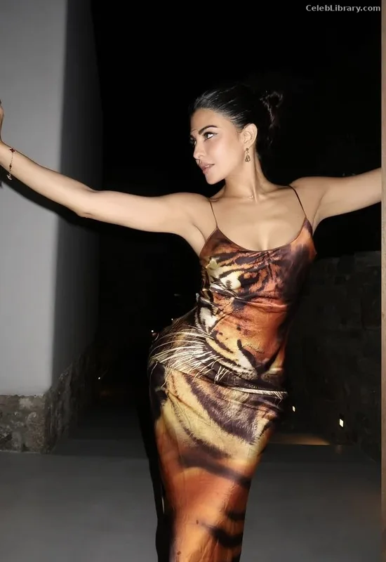 Jacqueline Fernandez photo 19 of 102