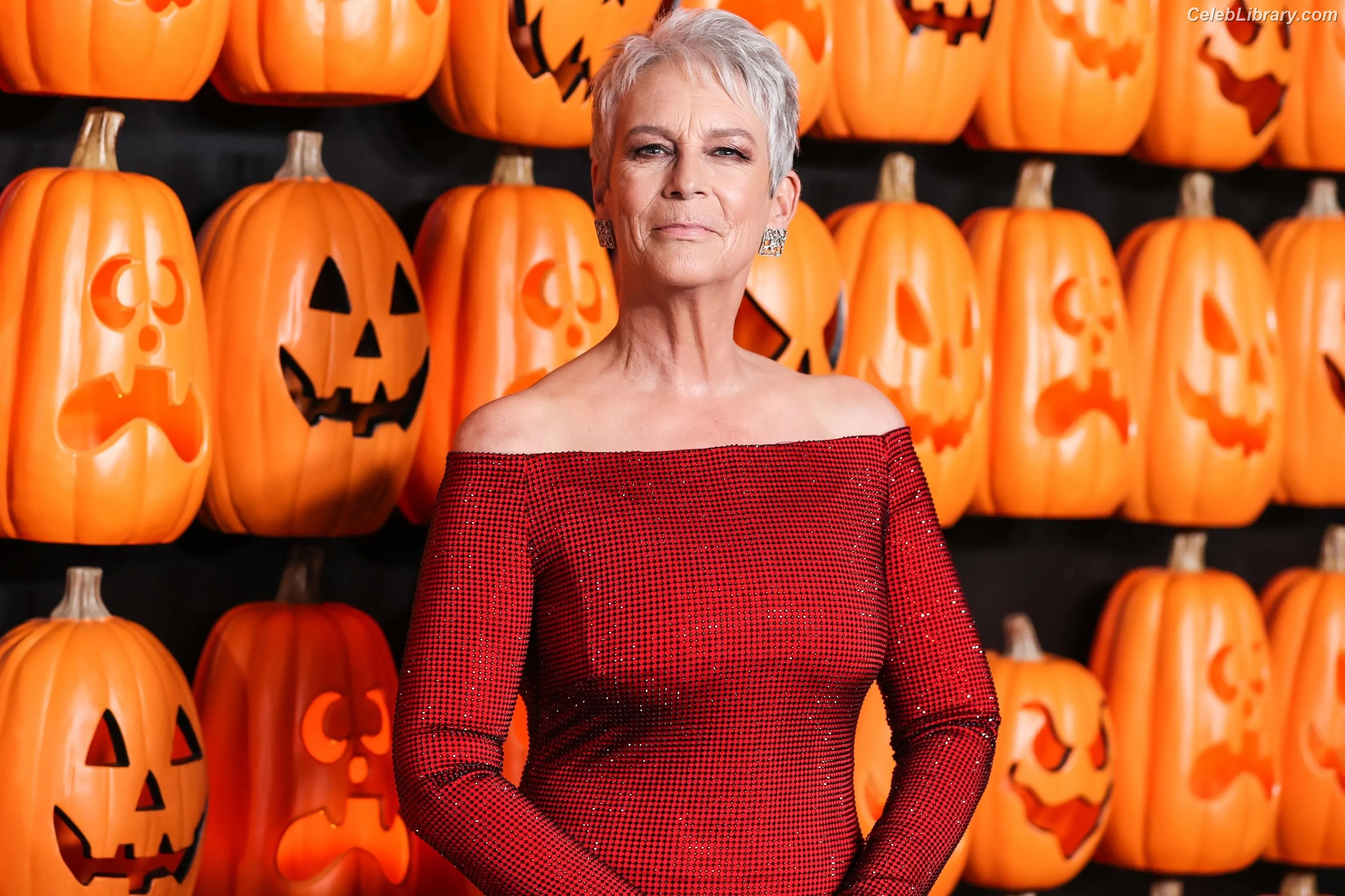 Jamie Lee Curtis photo 13 of 187