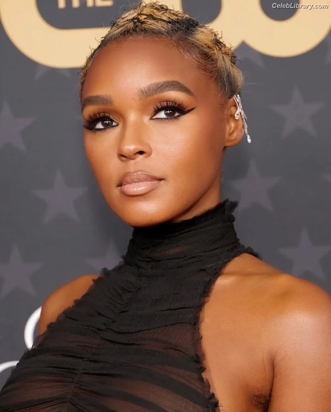 Janelle Monáe photo 8 of 264