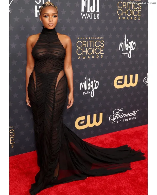 Janelle Monáe photo 6 of 265