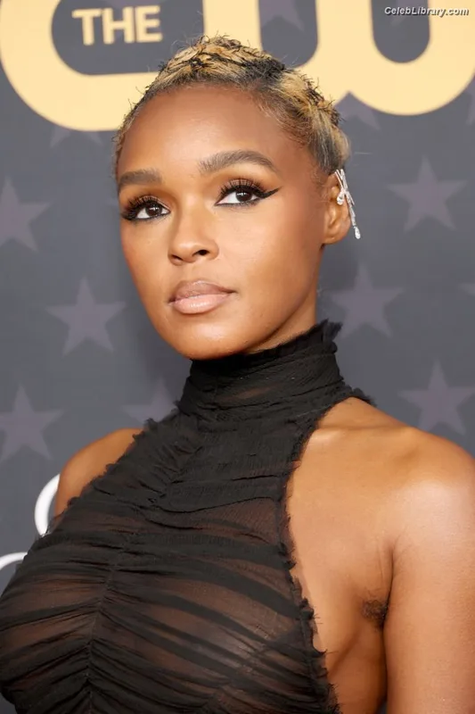 Janelle Monáe photo 7 of 265
