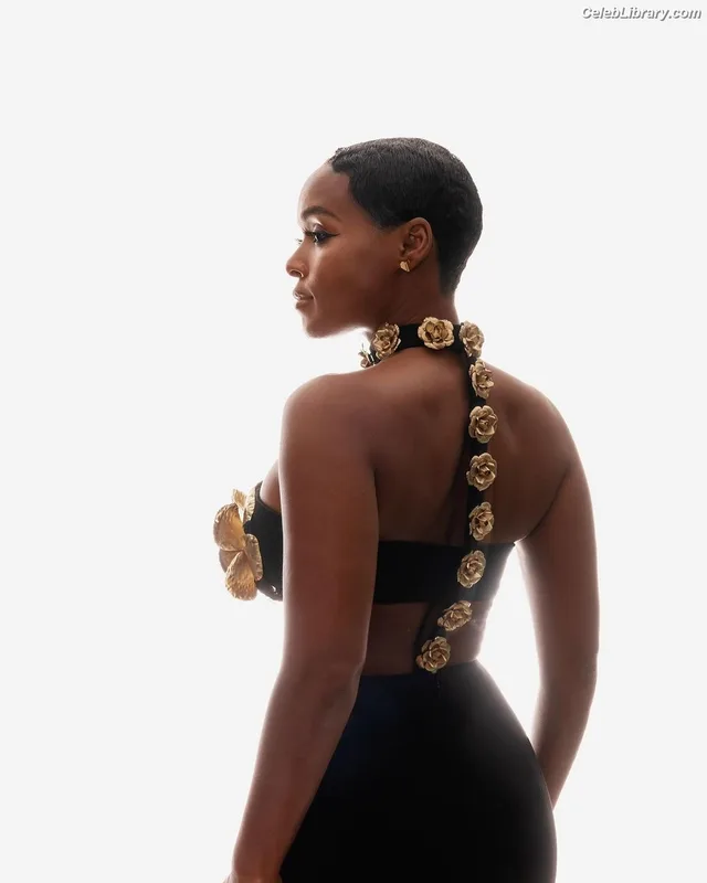Janelle Monáe photo 2 of 265