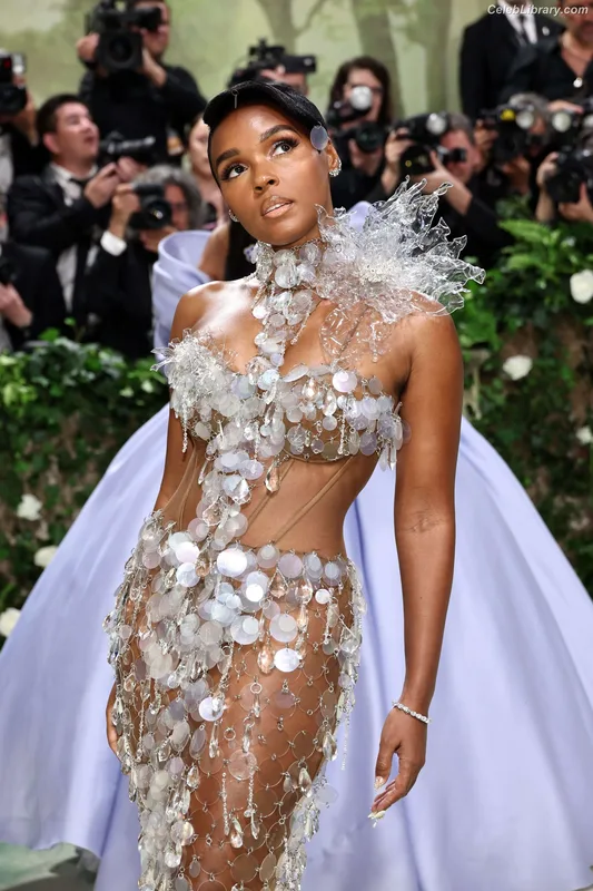 Janelle Monáe photo 17 of 265