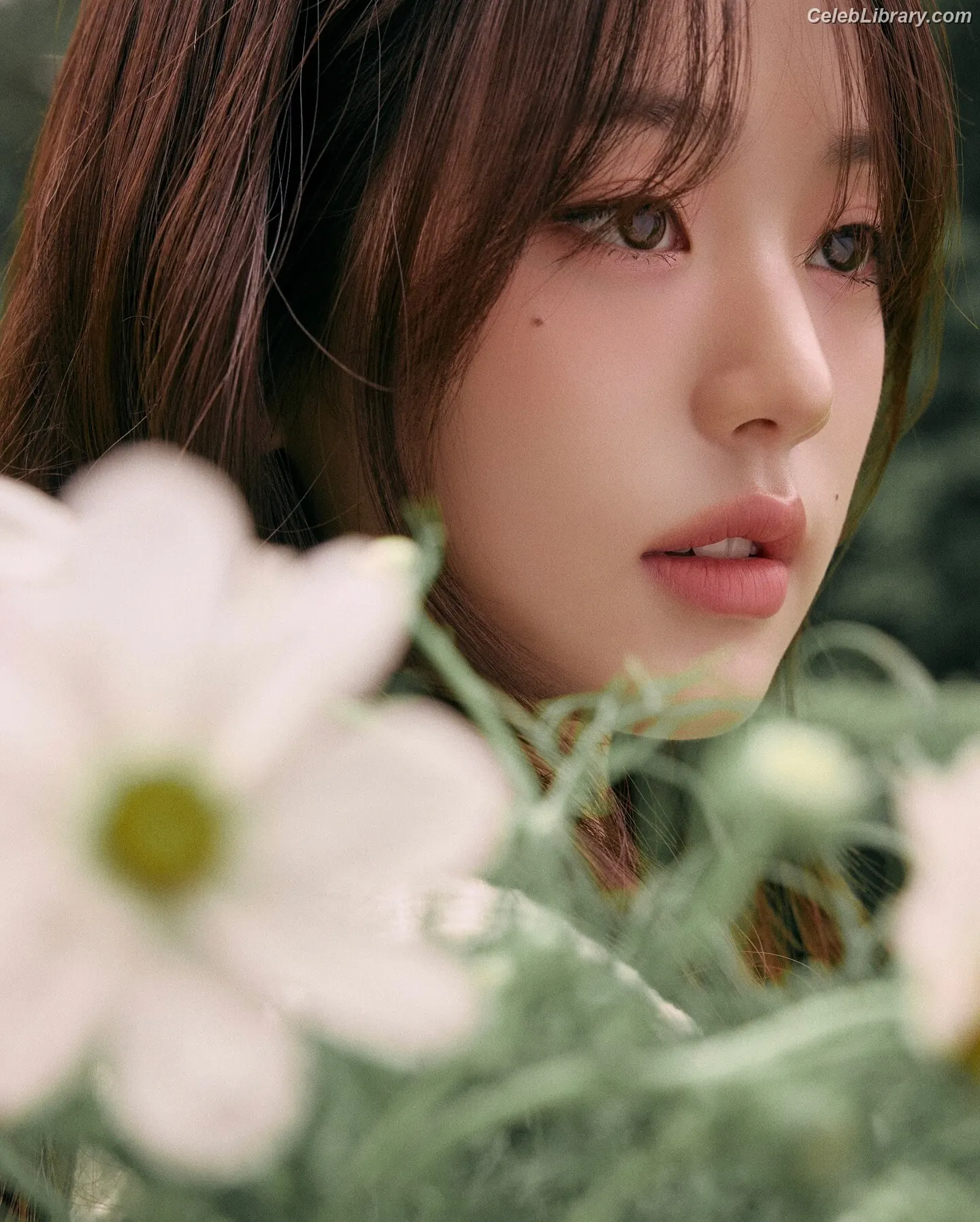 Jang Won-young 장원영 WONYOUNG photo 16 of 5845