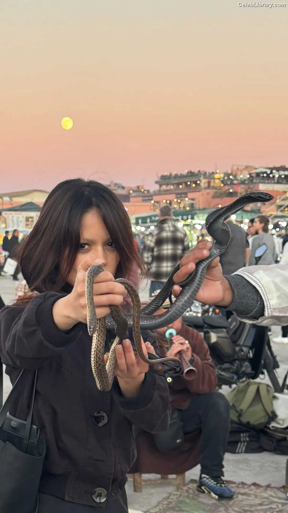 Jenna Ortega photo 9 of 5475