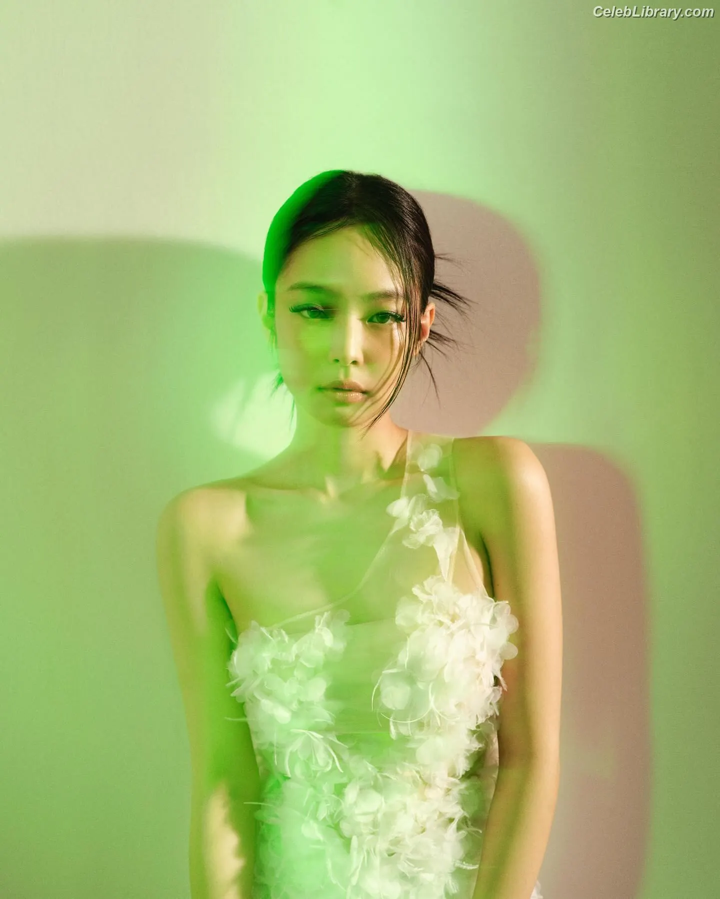 Jennie  BLΛƆKPIИK (Blackpink) photo 23 of 3641