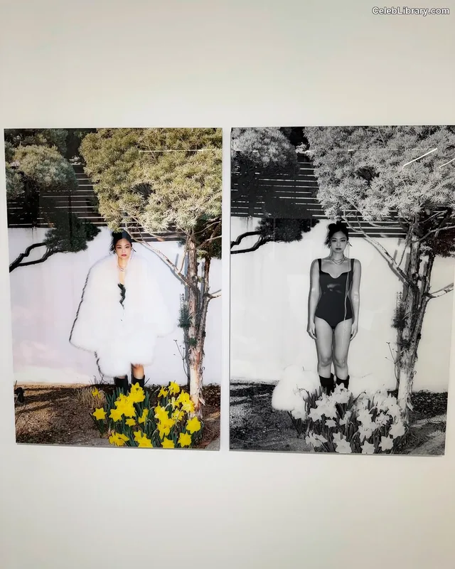 Jennie BLΛƆKPIИK (Blackpink) photo 13 of 3632