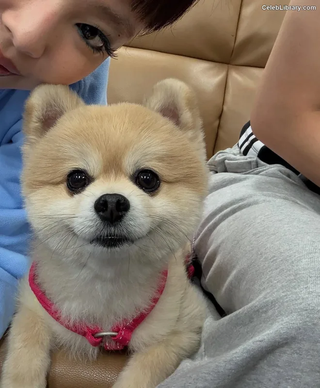 Jennie BLΛƆKPIИK (Blackpink) photo 15 of 3632