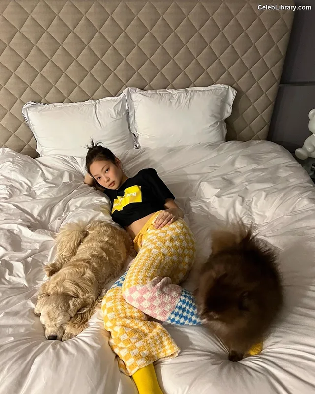Jennie  BLΛƆKPIИK (Blackpink) photo 4 of 3632