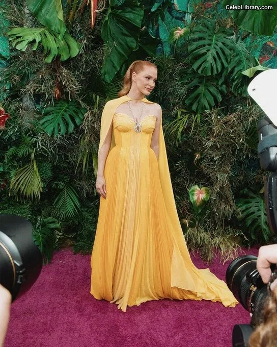 Jessica Chastain photo 9 of 1062