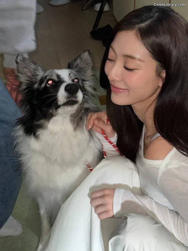 Jihyo (TWICE) photo 3 of 1325