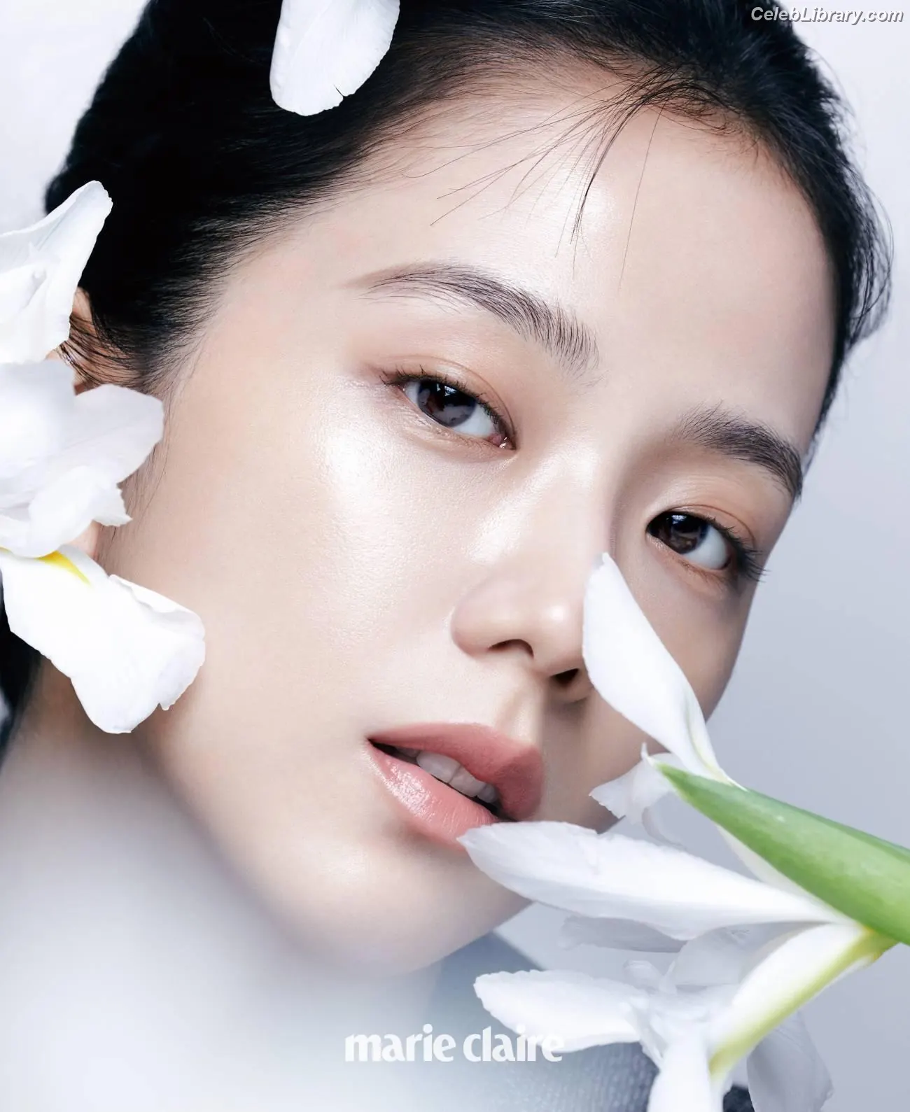 Jisoo  - BLΛƆKPIИK ( BLACKPINK ) photo 20 of 2451