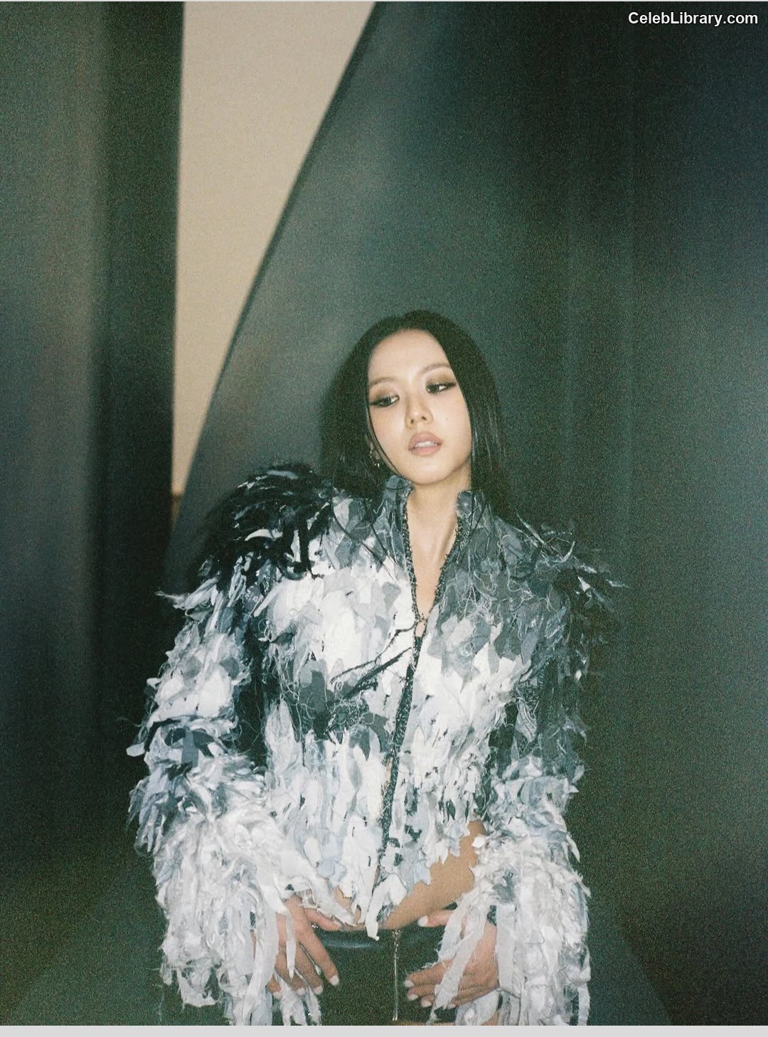Jisoo  - BLΛƆKPIИK ( BLACKPINK ) photo 15 of 2451
