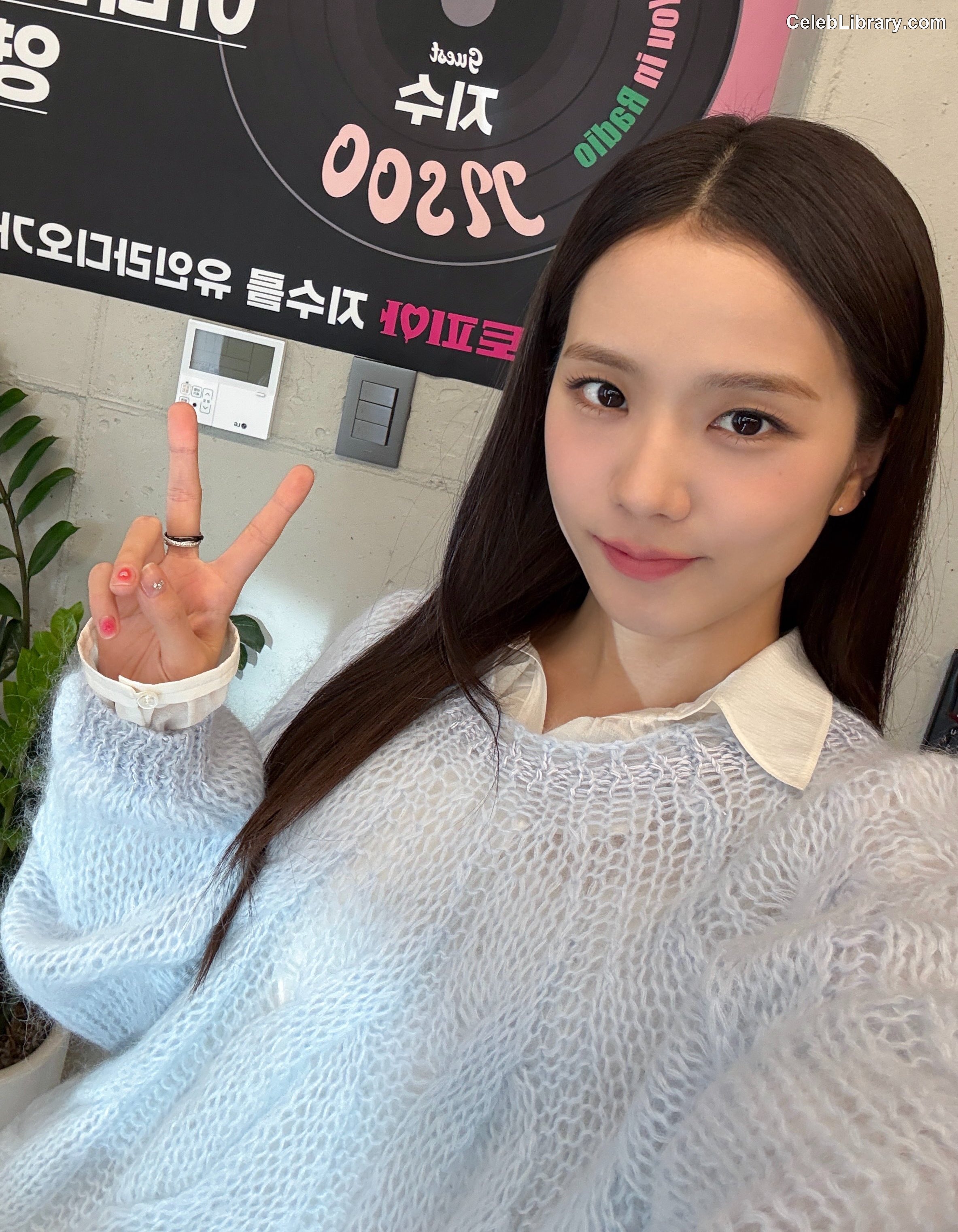 Jisoo  - BLΛƆKPIИK ( BLACKPINK ) photo 16 of 2451