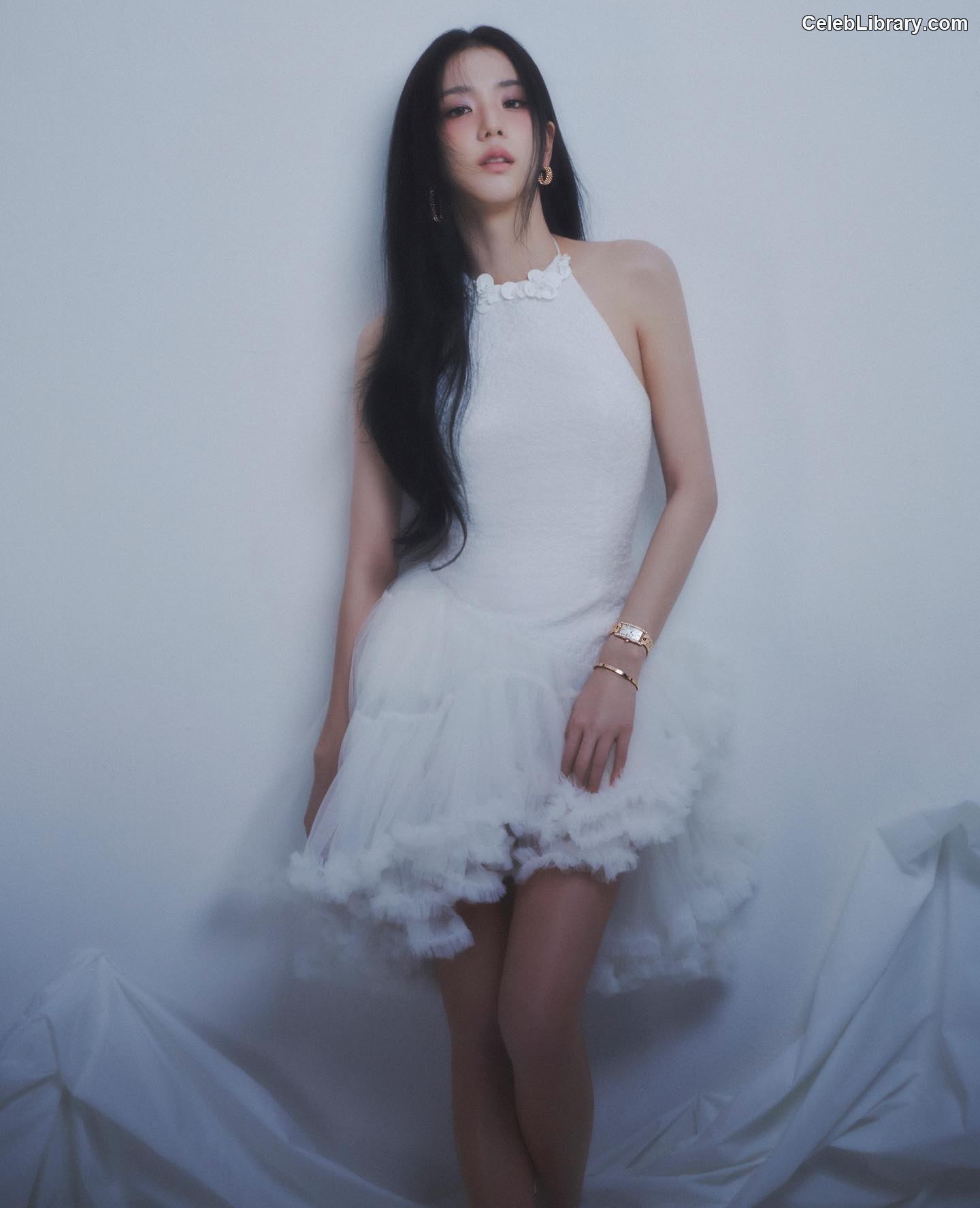 Jisoo  - BLΛƆKPIИK ( BLACKPINK ) photo 17 of 2451