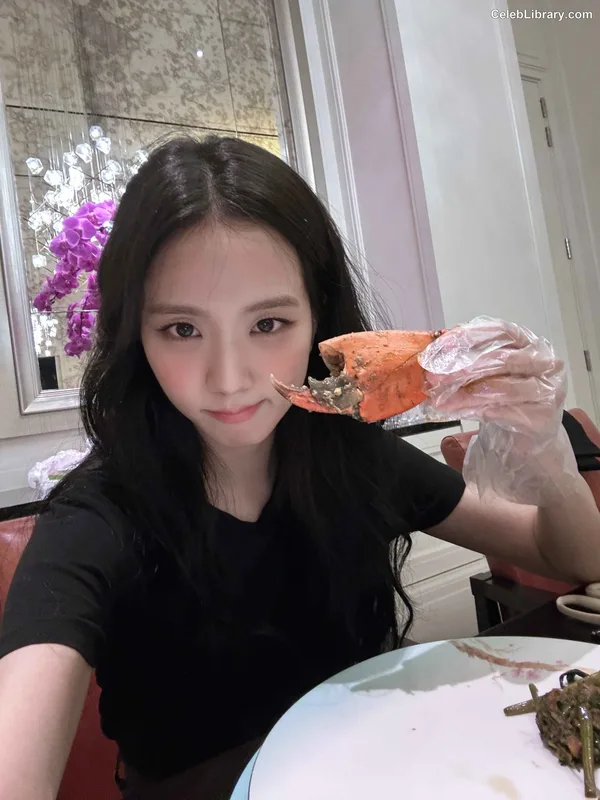 Jisoo - BLΛƆKPIИK ( BLACKPINK ) photo 12 of 2451