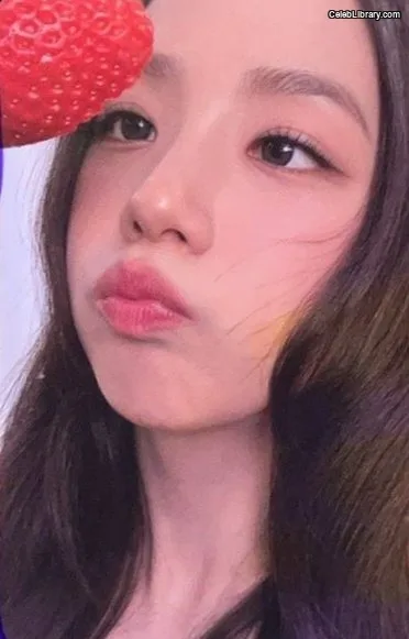Jisoo - BLΛƆKPIИK ( BLACKPINK ) photo 24 of 2451