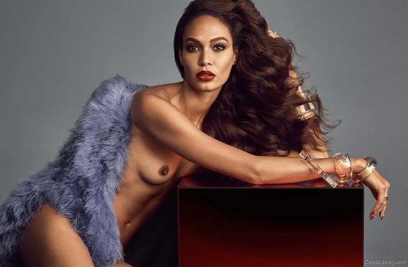 Joan Smalls photo 23 of 60