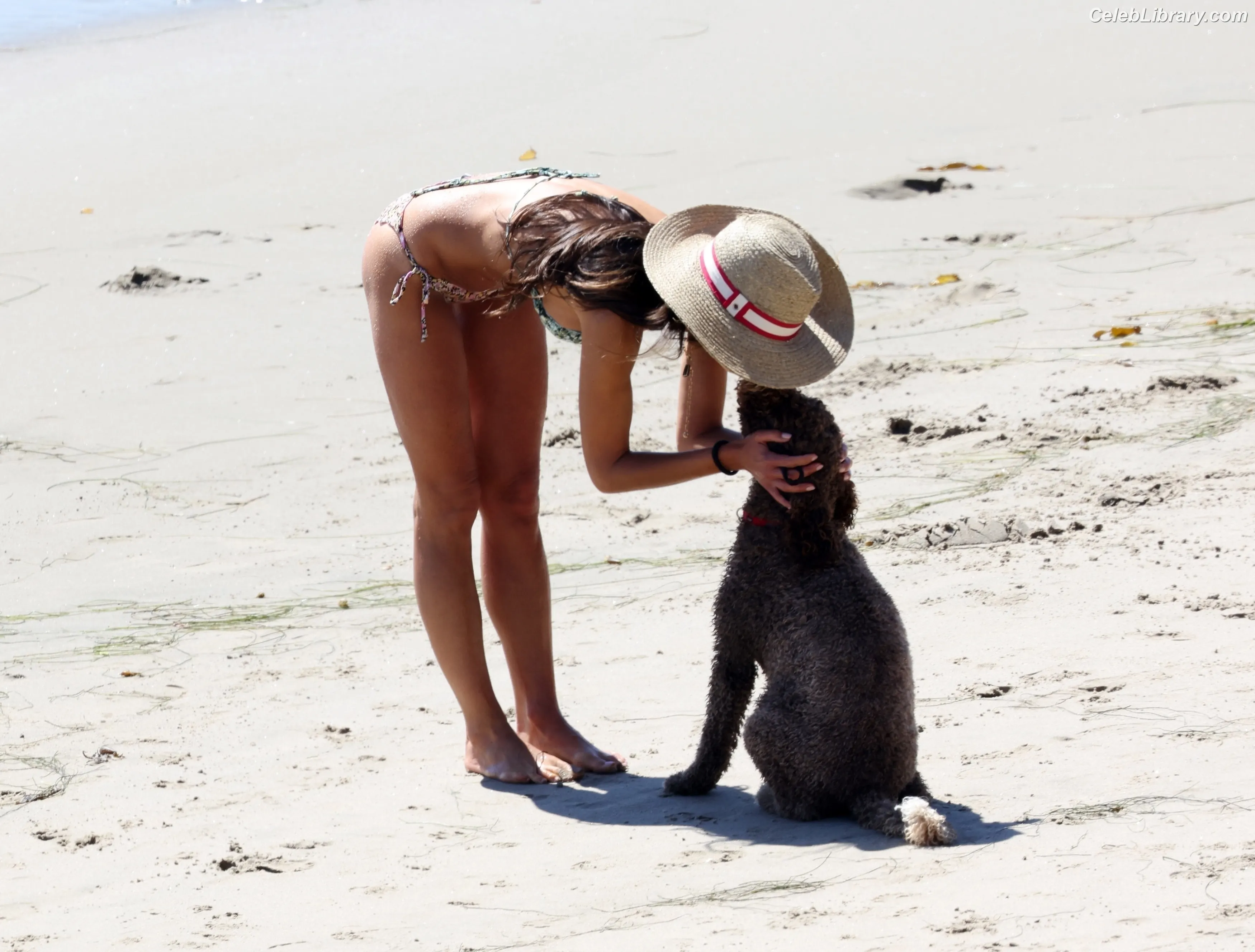 Jordana Brewster photo 2 of 372