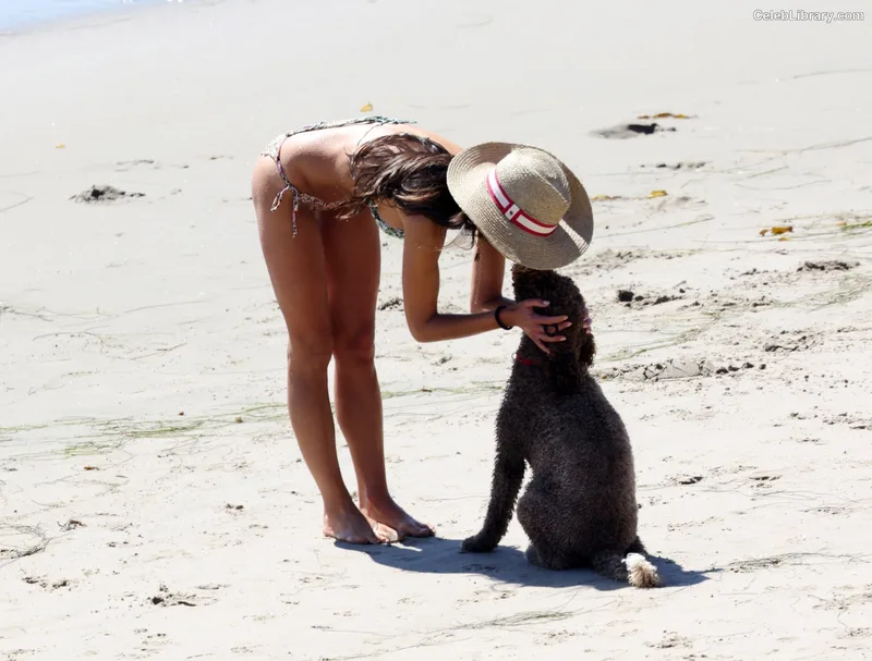 Jordana Brewster photo 2 of 373
