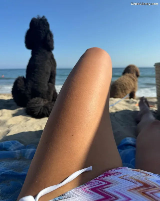 Jordana Brewster photo 11 of 373