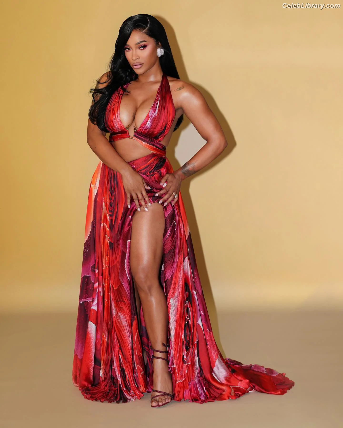 Joseline Hernandez photo 18 of 430