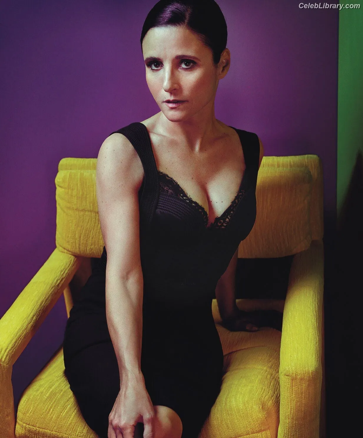 Julia Louis-Dreyfus photo 19 of 97