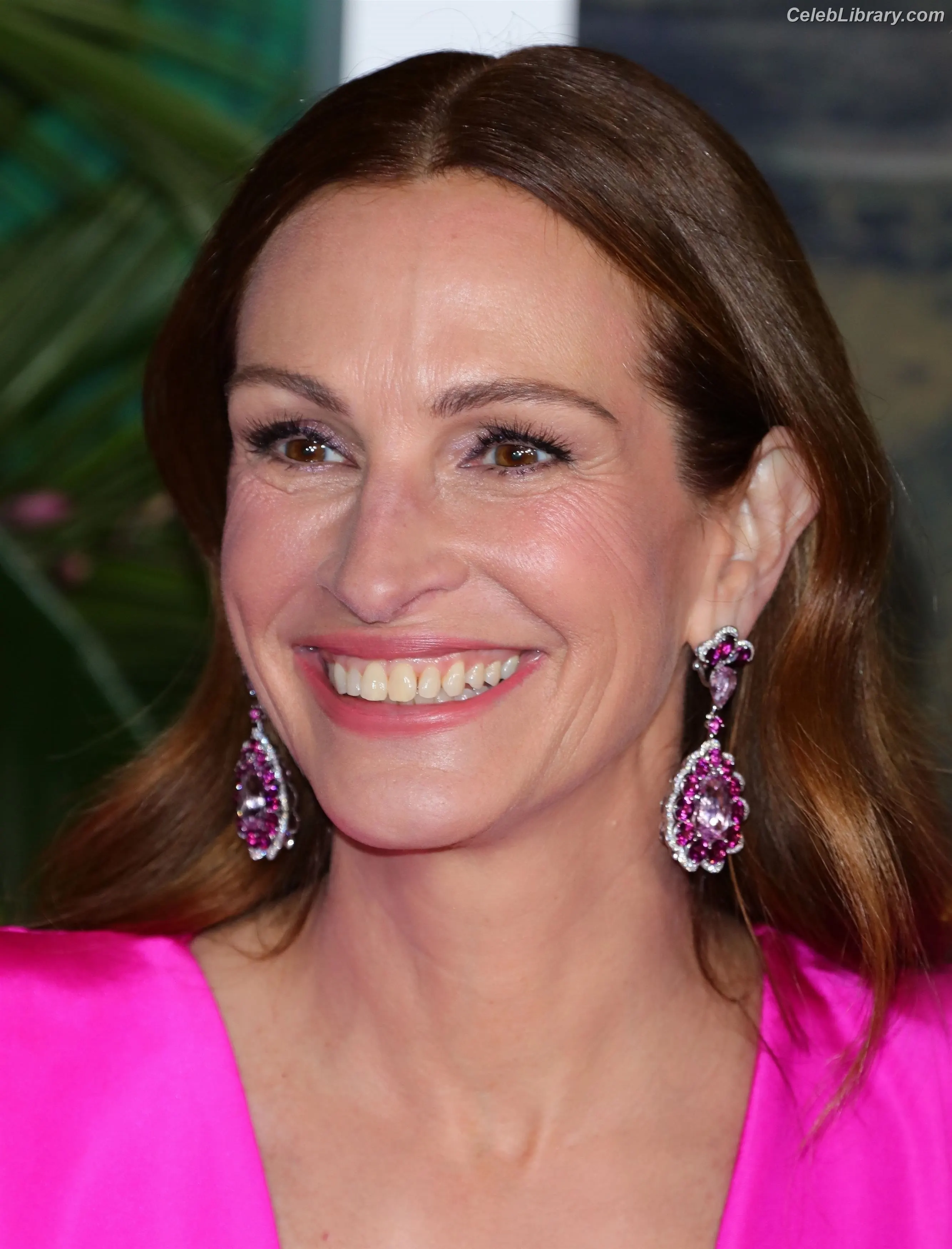 Julia Roberts photo 5 of 110