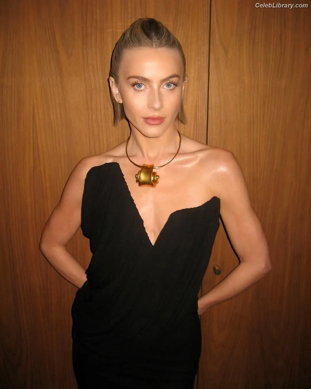 Julianne Hough photo 9 of 697