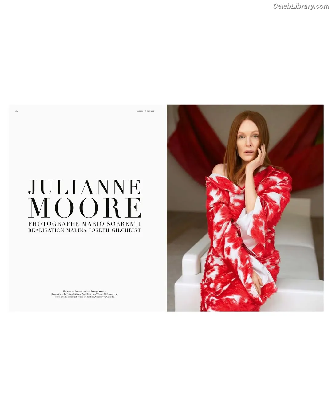 Julianne Moore photo 22 of 136