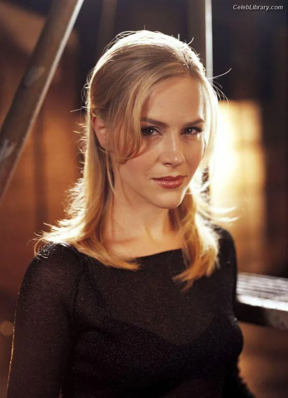 Julie Benz photo 12 of 44