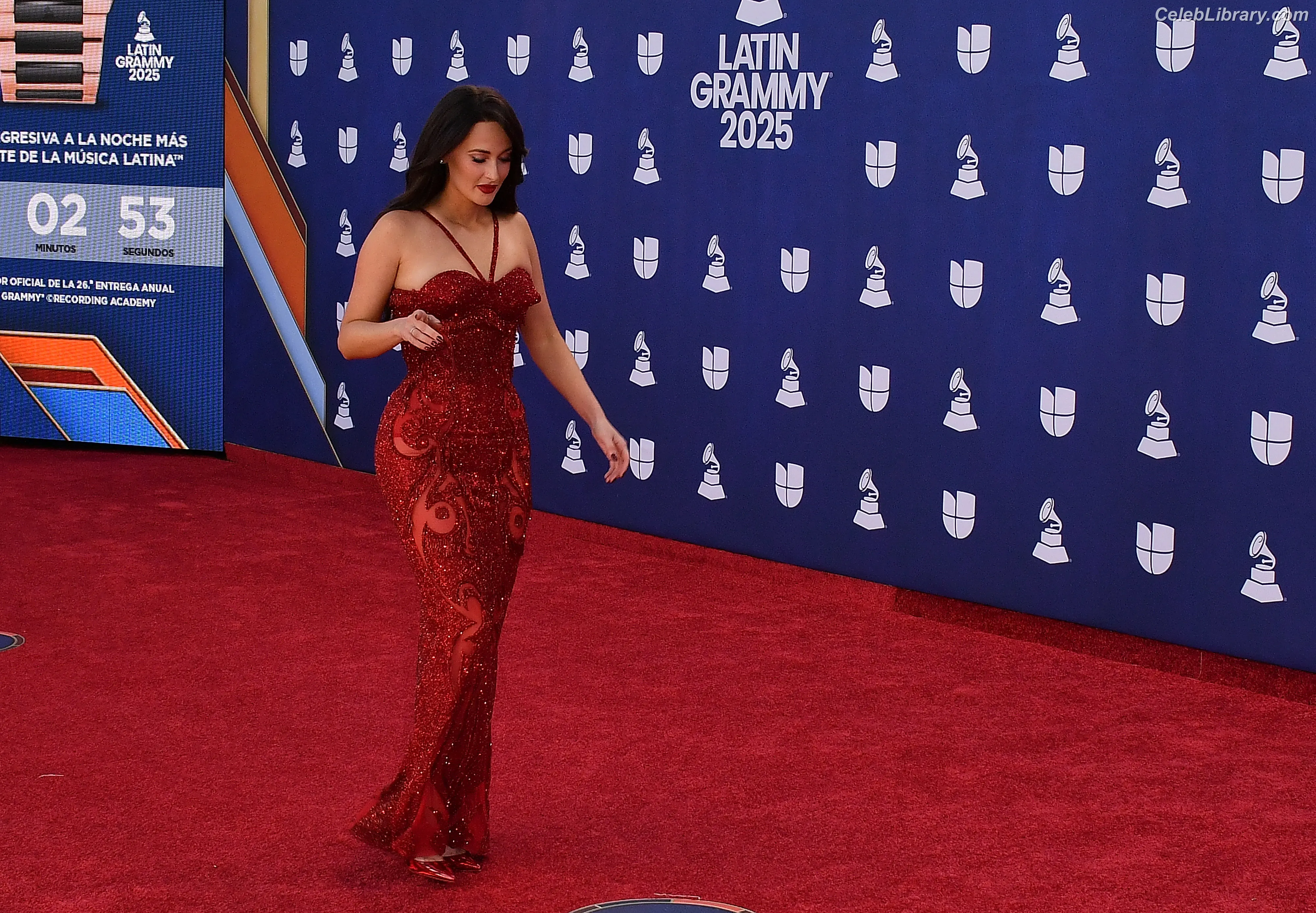 Kacey Musgraves photo 21 of 536