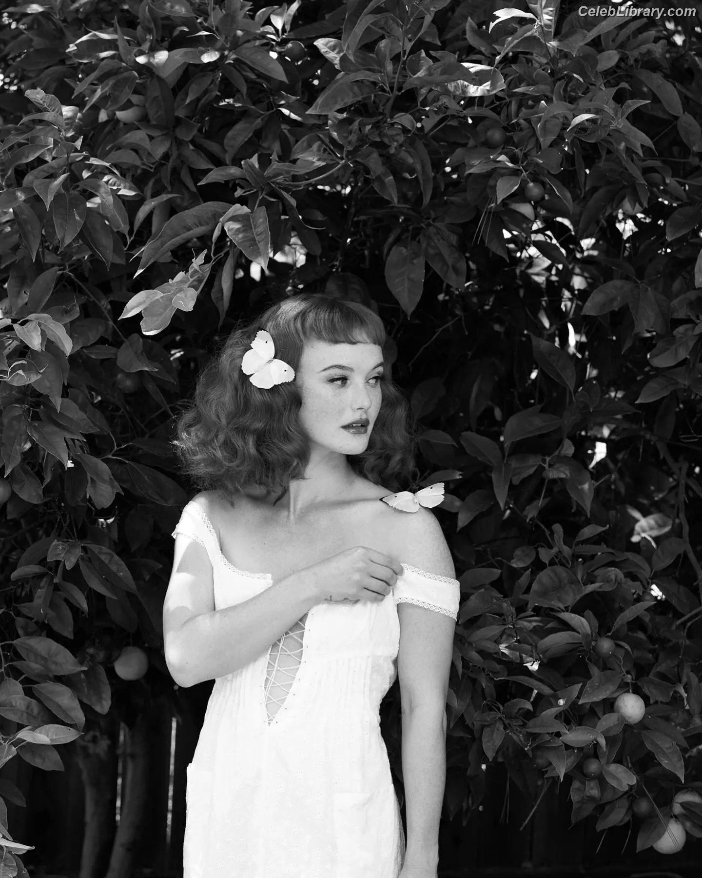 Kacy anne hill photo 1 of 401