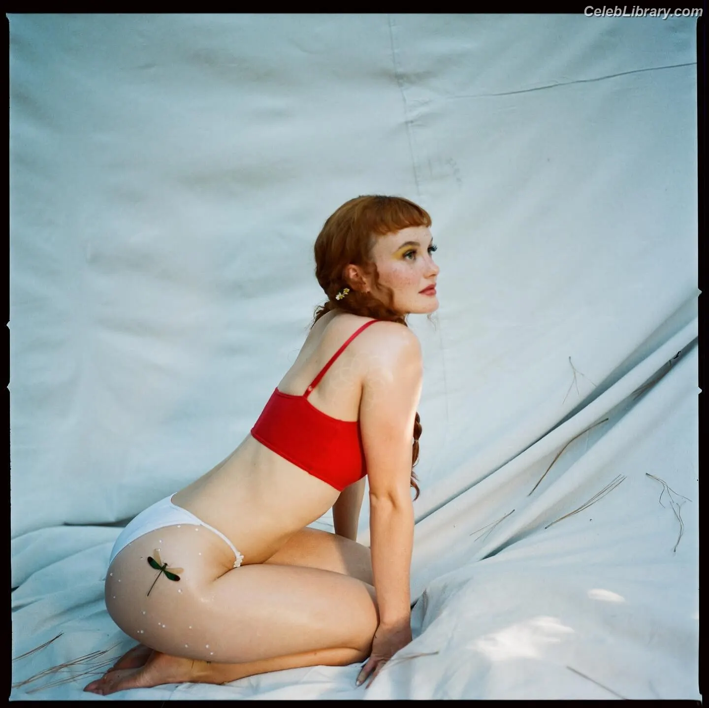 Kacy anne hill photo 5 of 401